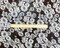 Black-White Poly Floral Printed Chiffon Woven Fabric By the Yard